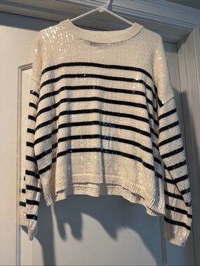 LOFT Cream & Black Striped Sequin Crewneck Sweater